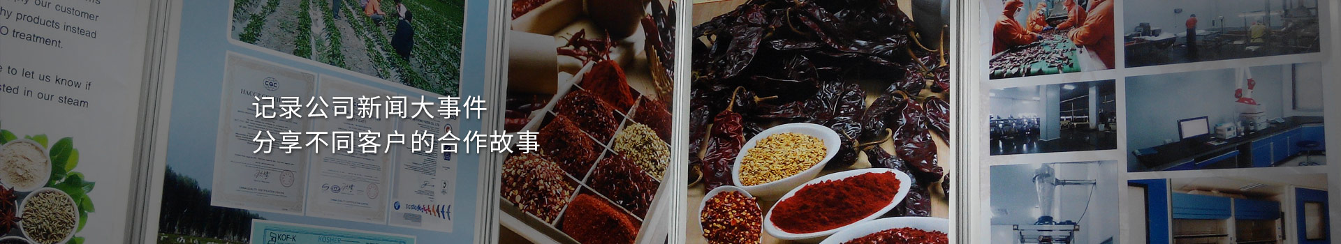 大豐食品：記錄公司新聞大事件，分享不同客戶的合作故事